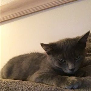 Meet your Posher, Cindy